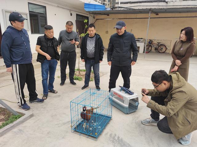 爱心救助野生动物，共筑和谐生态家园