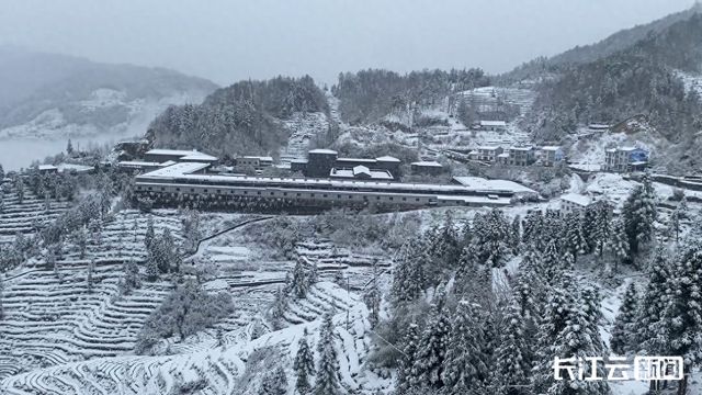 湖北下雪了！网友：比冬天的雪还大
